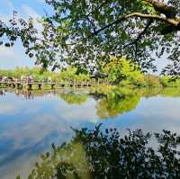 A Perfect Day at West Lake, Hangzhou: Scenic Serenity Awaits!