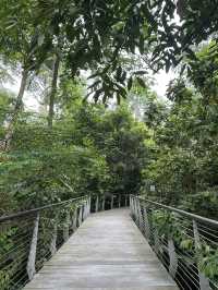 Singapore Botanic Gardens: A Tropical Haven in the City