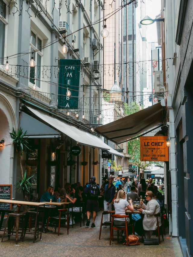 ニュージーランド最大の都市、オークランド🇳🇿🐏