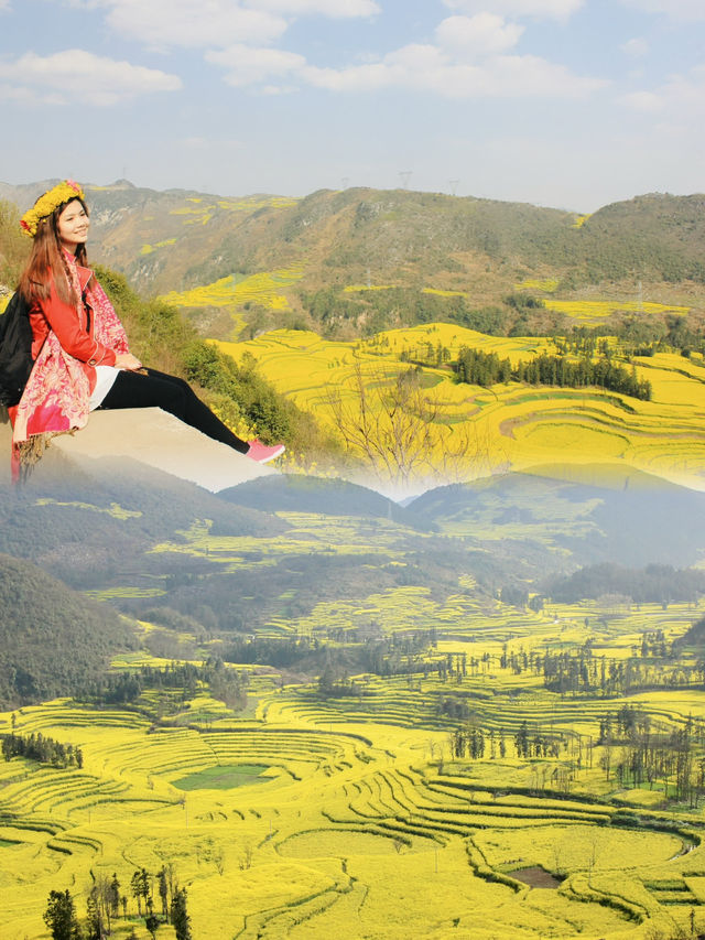 The Unmatched Beauty of Luoping's Rapeseed Flower Fields