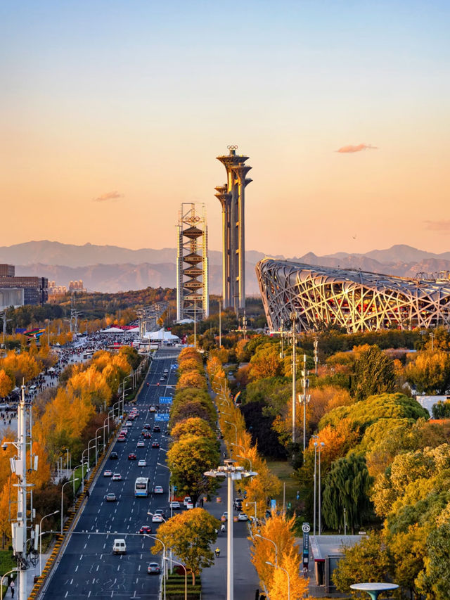 Beijing Olympic Park: A Modern Marvel of Sports and Architecture 