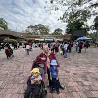 Attractions to visit in Zoo Negara Malaysia