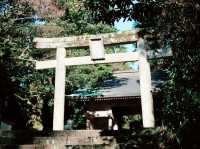 島取🇯🇵 倭文神社