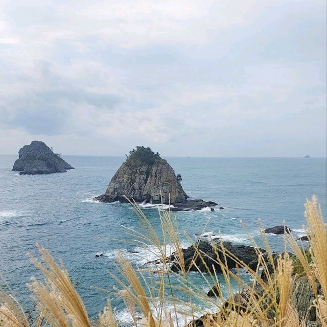 เที่ยวเกาะ 🏝 Oryukdo Island @Busan