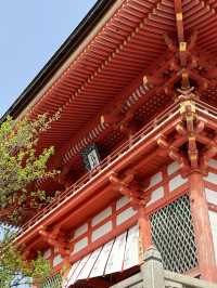 Kyoto｜ Kiyomizu-dera, the must visit temple in Koyto