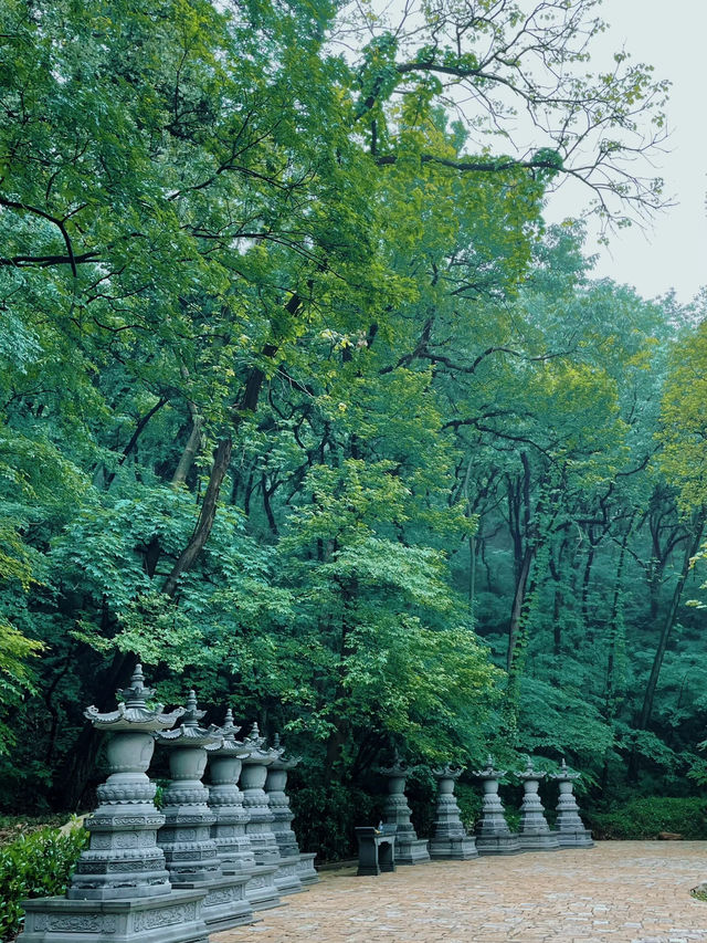 超治愈 南京的侏羅紀公園