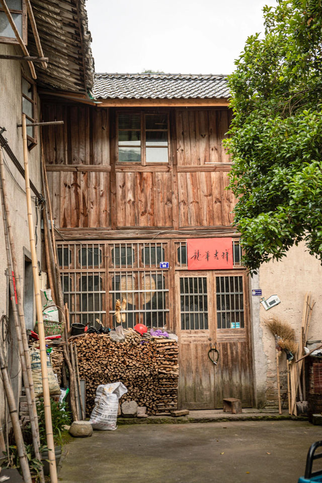 相較於沈從文筆下的《邊城》｜我更愛這世外桃源般的新光村