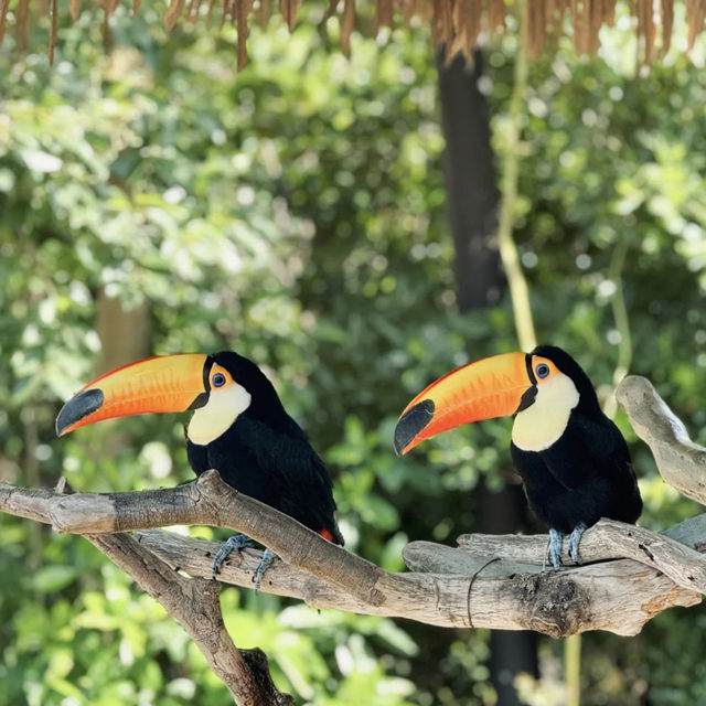 親近自然的歡樂時光——上海野生動物園的奇趣探險