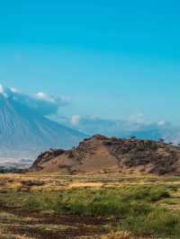 Exploring Serengeti National Park: A Wildlife Wonderland