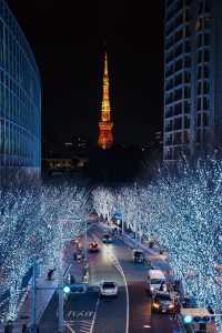 Experience the Magic of Tokyo's Christmas Lights Next Month