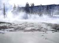 Winter Wonderland in Yellowstone: A Magical Snowy Adventure