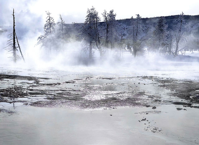 Winter Wonderland in Yellowstone: A Magical Snowy Adventure