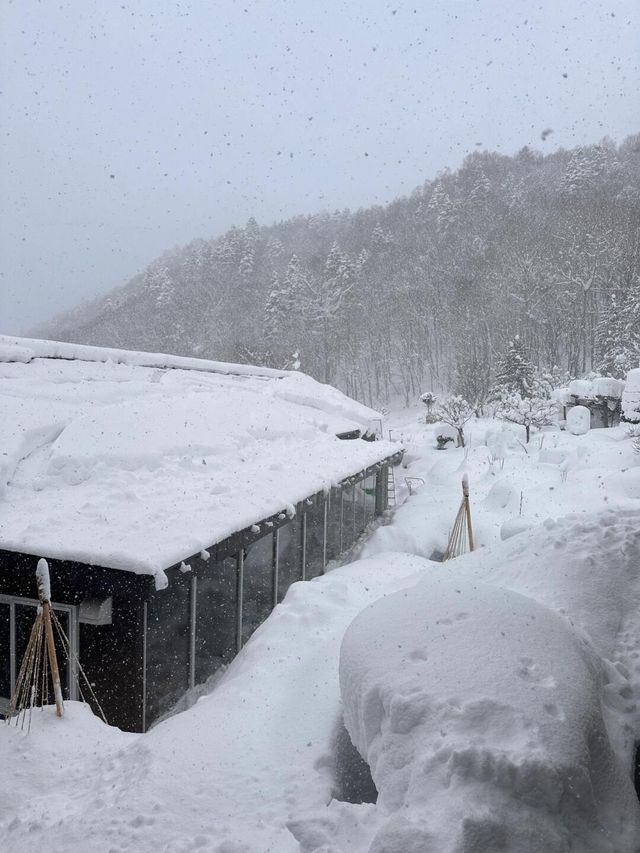 北海道最舒服的雪景天然溫泉了！！