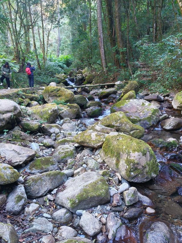 高黎貢山五道溪行山