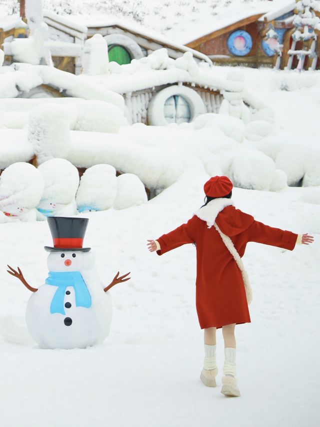 浙江下雪啦！闖入冰雪童話世界玩雪的一天！！