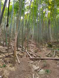 在鸬鳥山，感受大自然的鬼斧神工