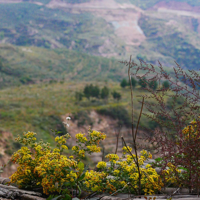 Exploring the Historic Charm of Datong