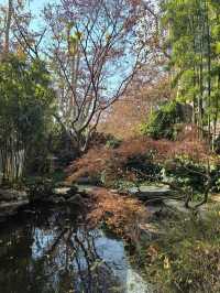 靜安古韻：探秘八景園之美