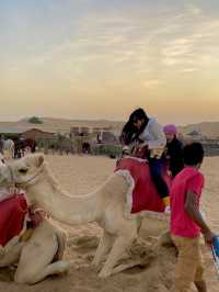 두바이에 왔으면 사막의 필수지🐫🏜️