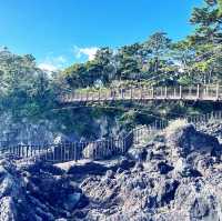 Walk through the jogasaki coast