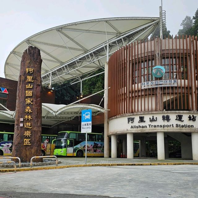 神木之鄉：阿里山森林遊樂園