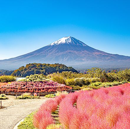 Majestic Fuji: A Glimpse of Japan's Iconic Peak