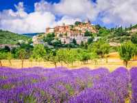 The Charming Countryside of Provence