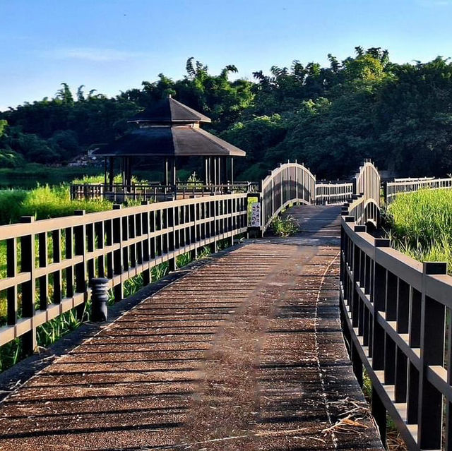 大潭埤旺萊公園