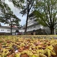 🏯 ปราสาทโคคุระ (Kokura Castle 小倉城) 