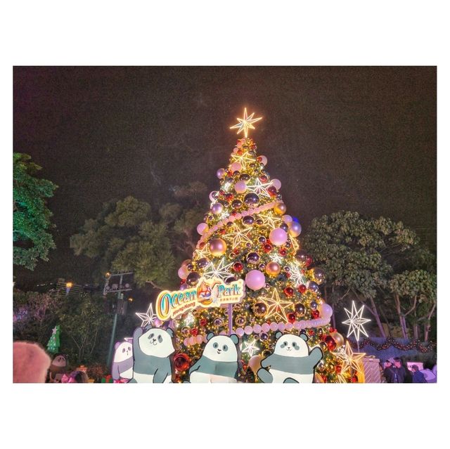  🎄✨ 海洋公園聖誕夜奇幻之旅！ 🎅🏻🐼