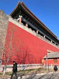 Exploring the Majestic Forbidden City with My Family