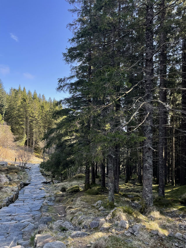 【卑爾根Bergen 行山路徑：挪威大自然和震撼的景觀！】