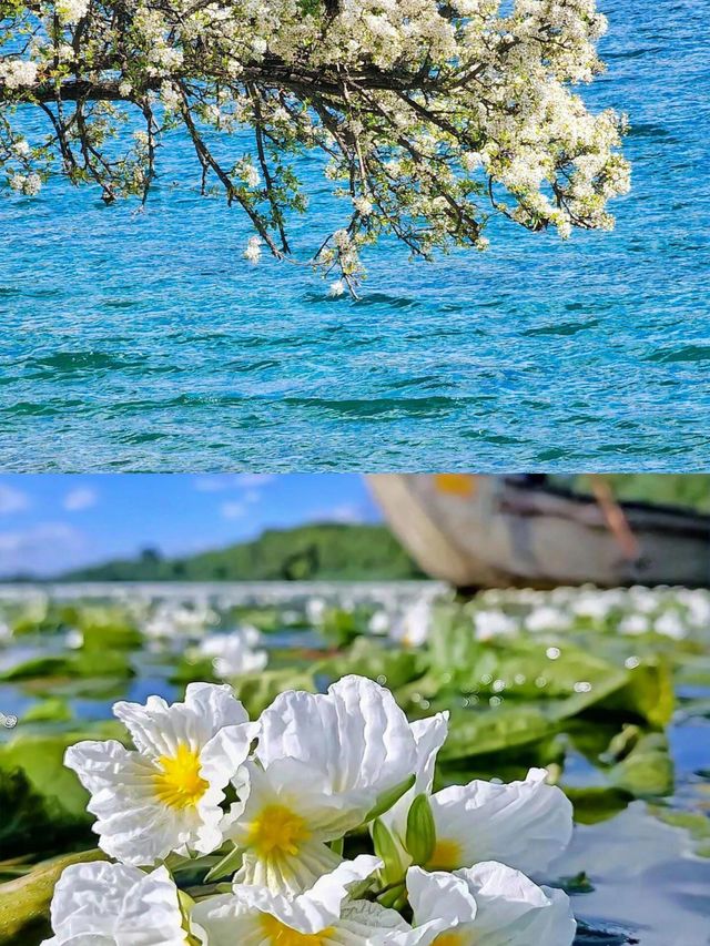 湖雲兩不誤