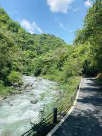 黑山谷|打卡重慶黑山谷風景區