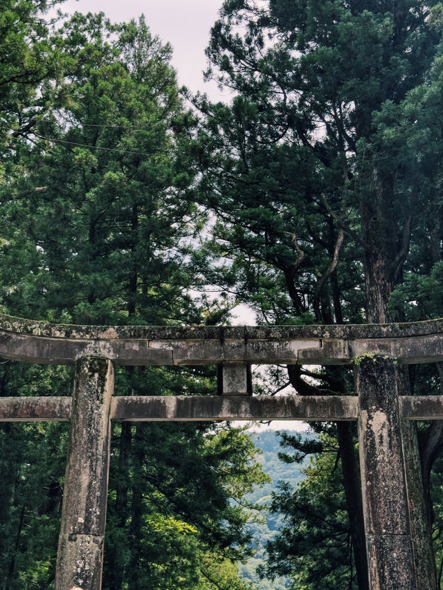 Explore Nikko's Hidden Gem: Toshogu Shrine