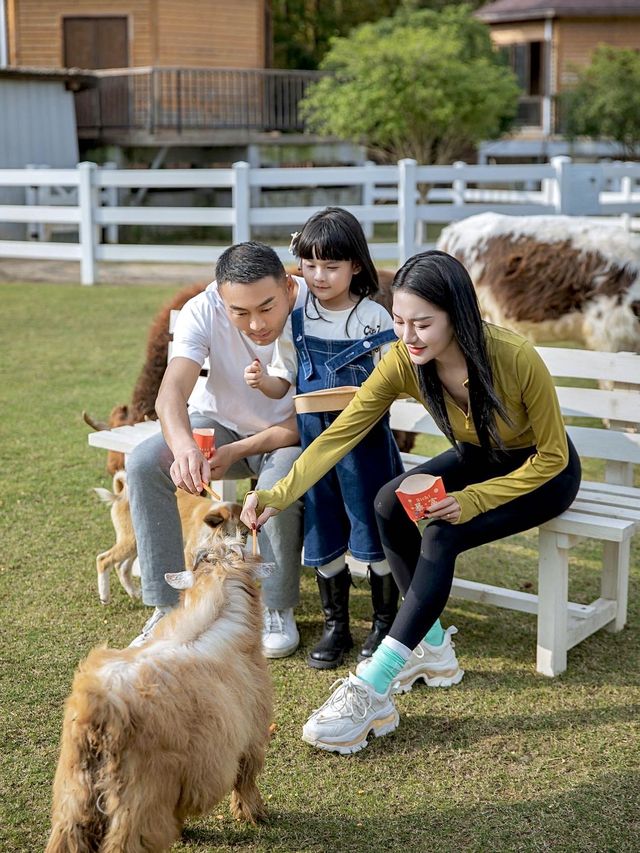 安吉莫牛牛小牧場莊園，親子遊玩好去處！