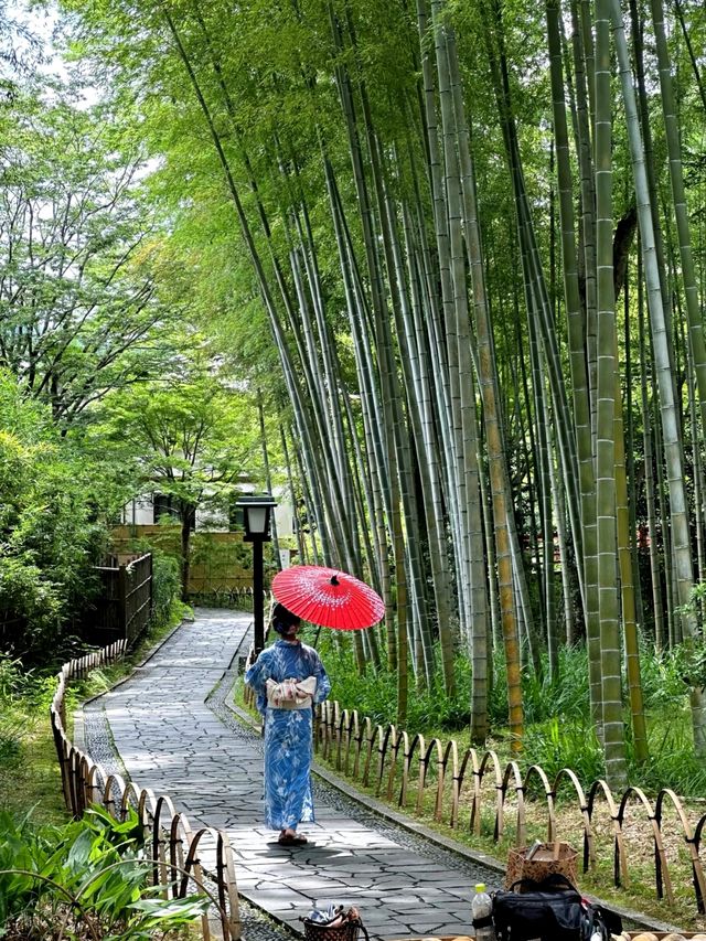 伊豆修善寺