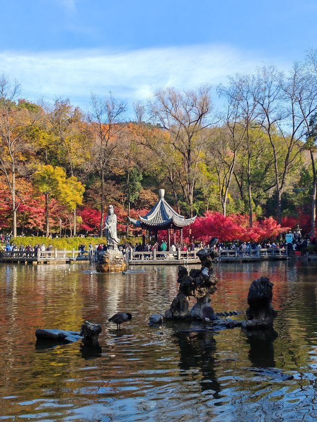 秋天的栖霞山，紅得讓你不敢相信