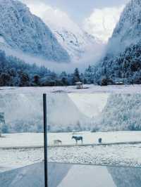 雨崩野語 | 梅里雪山下的夢幻之居