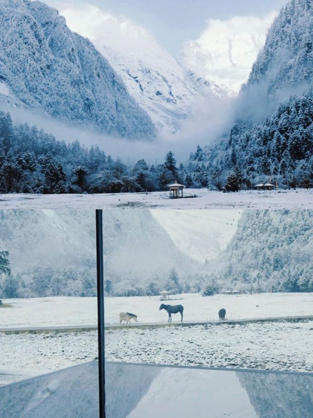 雨崩野語 | 梅里雪山下的夢幻之居