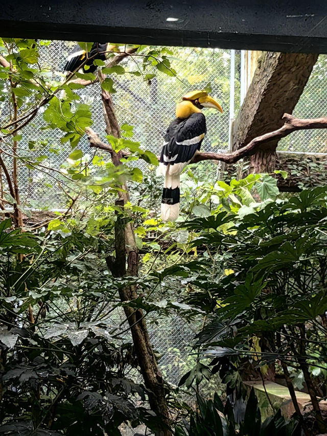 南京紅山動物園｜逛動物園是件正經事～