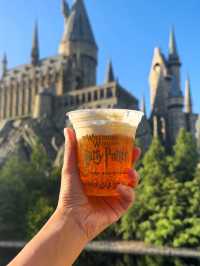 The Wizarding World of Harry Potter