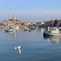 Romantic Rovinj-perfect for sunrise & sunset