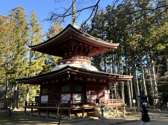 CoStudio | 高野山 — 靈性與寺廟的聖地