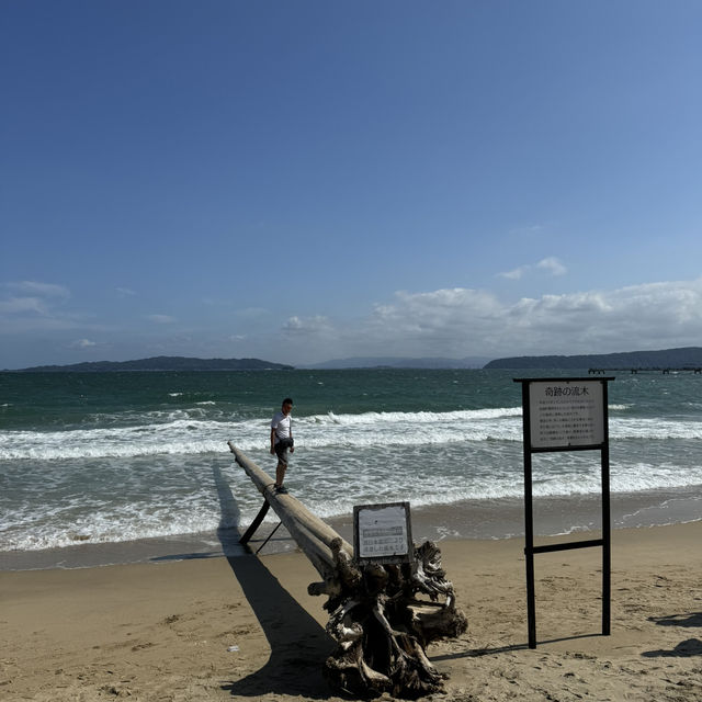 系島 自駕半日遊