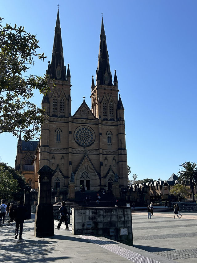 호주 시드니 “세인트 메리 대성당”🤎🇦🇺