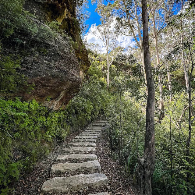 Exploring the Blue Mountains: A Natural Wonderland