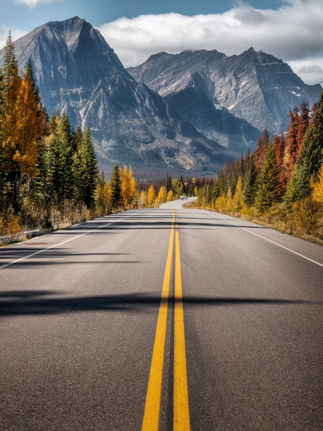 Fall in Love with the Drive to Jasper 