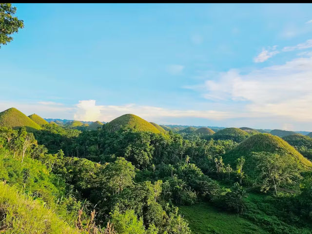 Chocolate Hills Natural Monument