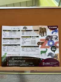 【台北市立動物園】パンダに会える！